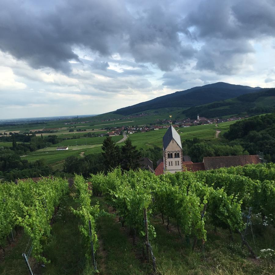 Gite Fleur De Vignes 伊特斯维勒 外观 照片