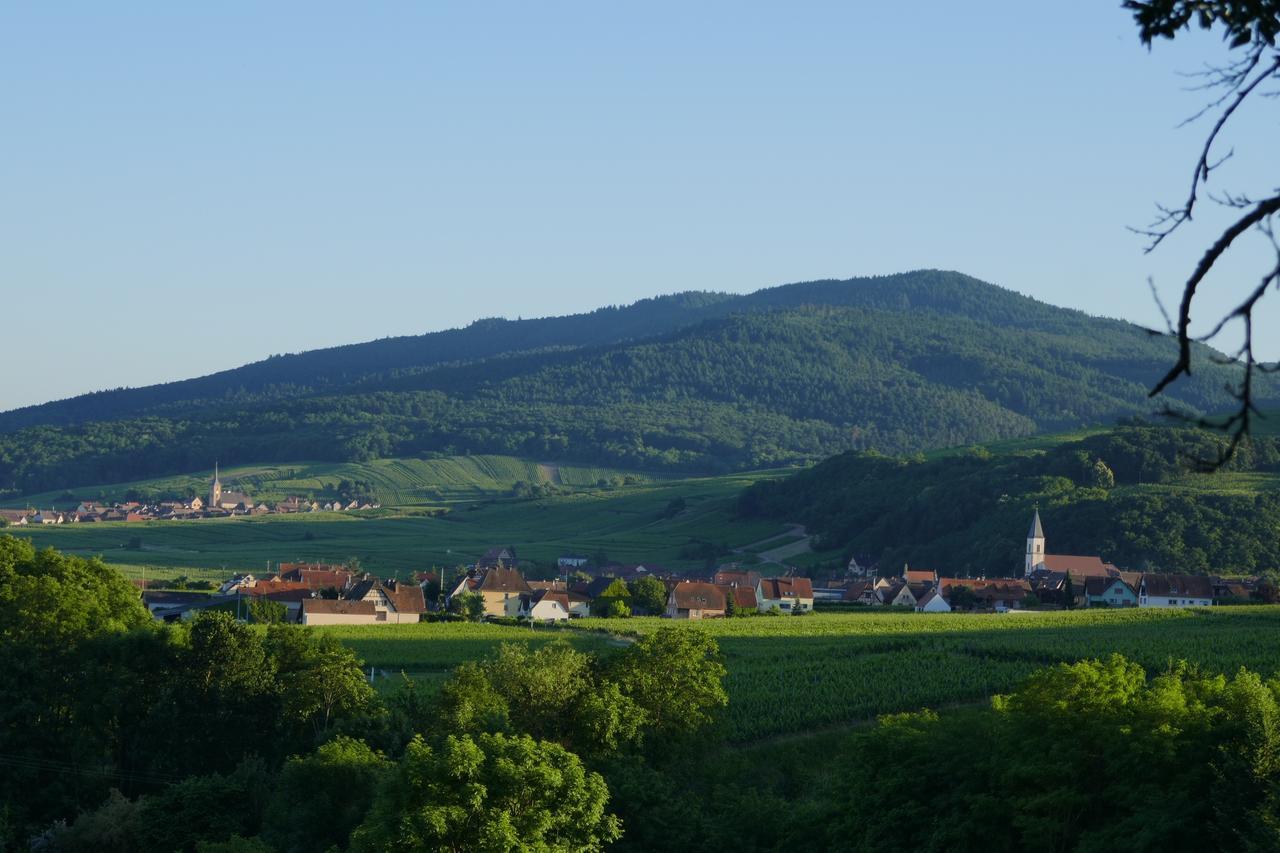 Gite Fleur De Vignes 伊特斯维勒 外观 照片